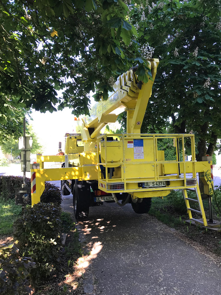 Aufgebauter Hubsteiger 